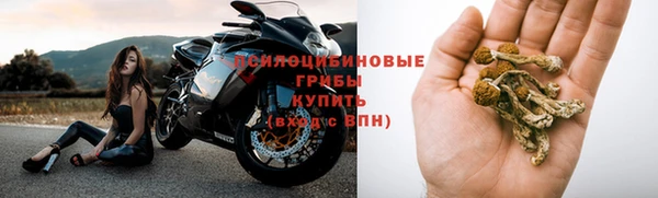 Альфа ПВП Армянск