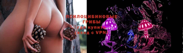 Альфа ПВП Армянск