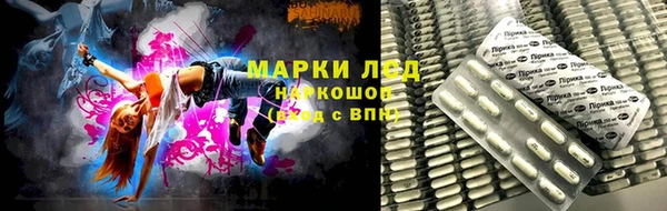 экстази Арсеньев