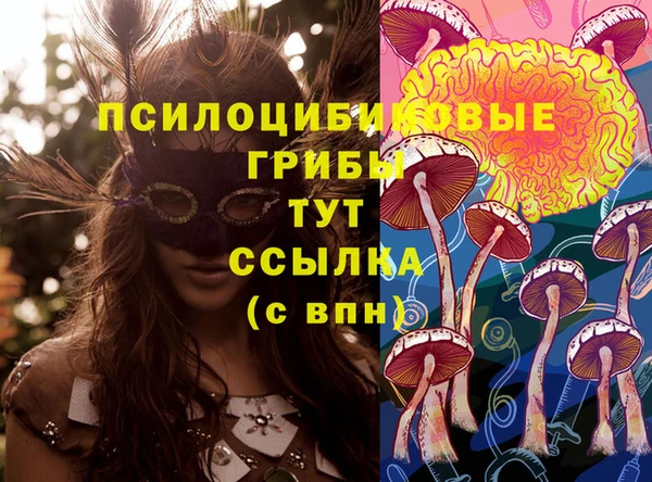 экстази Арсеньев