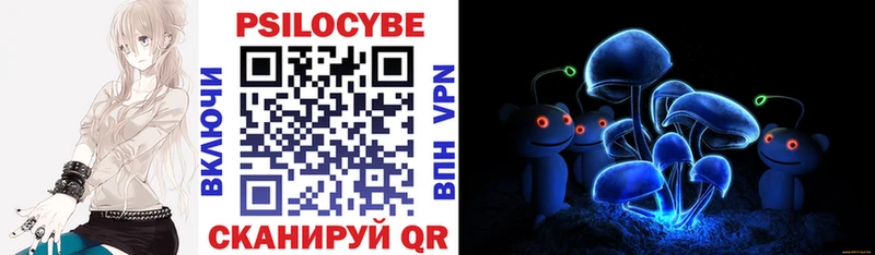 Псилоцибиновые грибы Psilocybe  закладка  Урень 